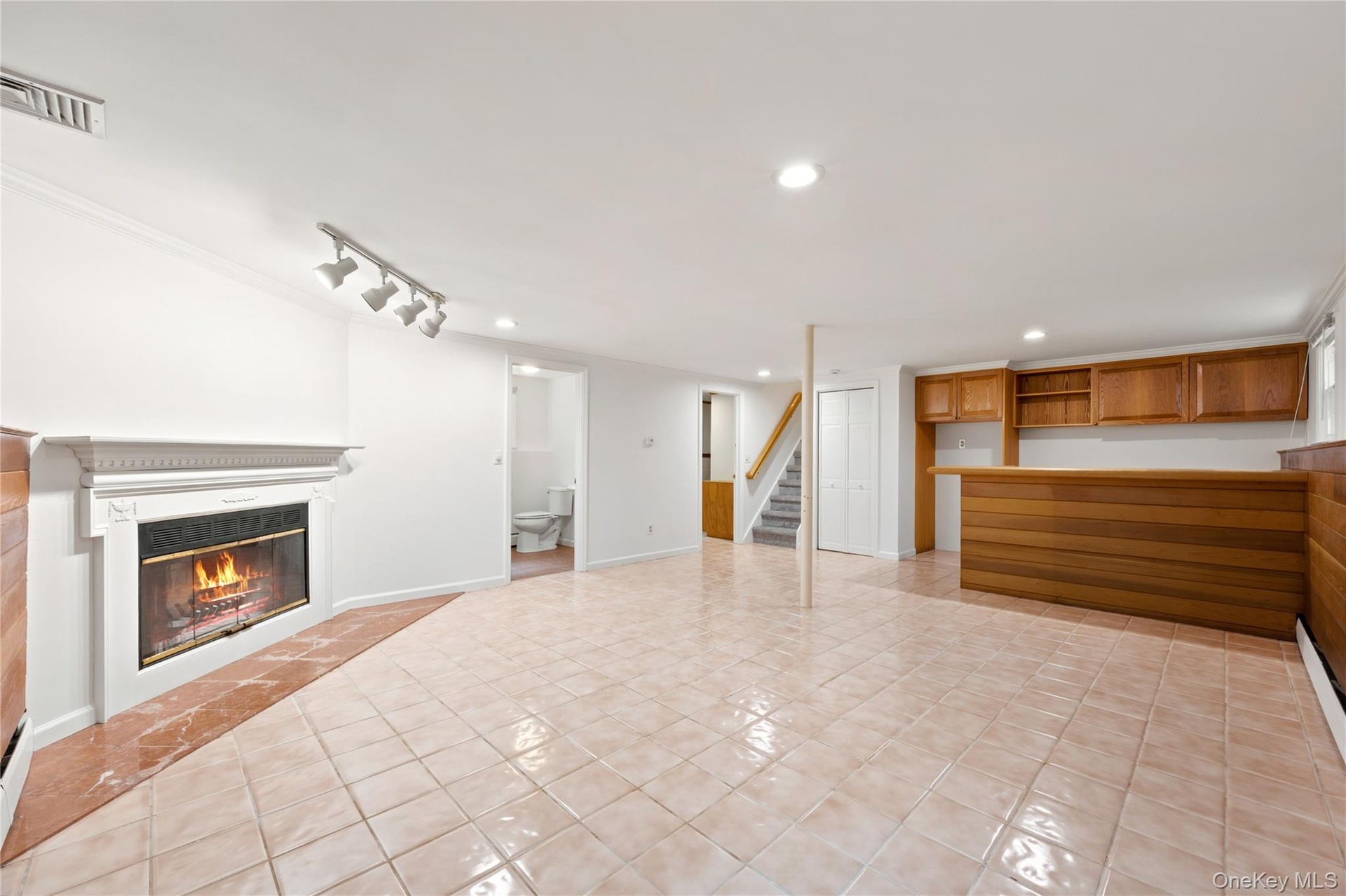 Lower Level Family Room with FPL