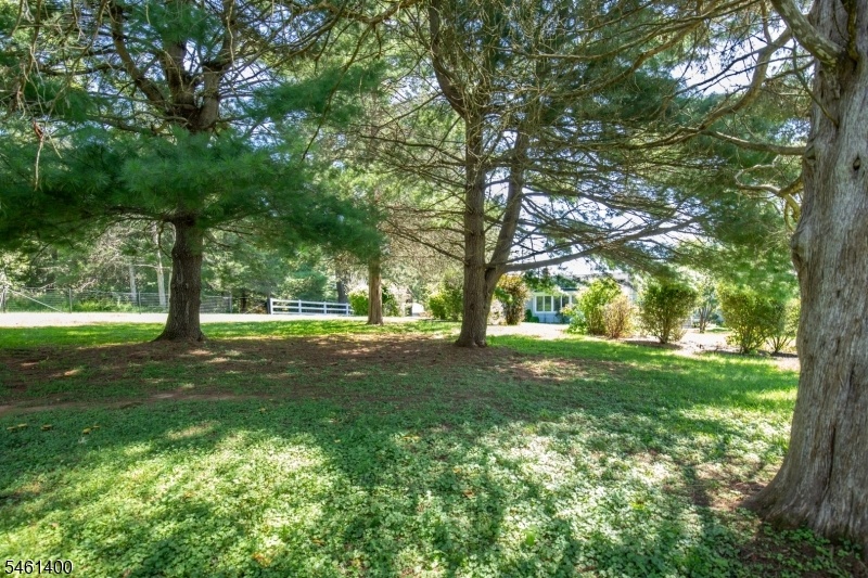 More yard