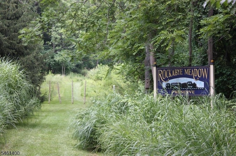 Rockabye meadow & trout stream