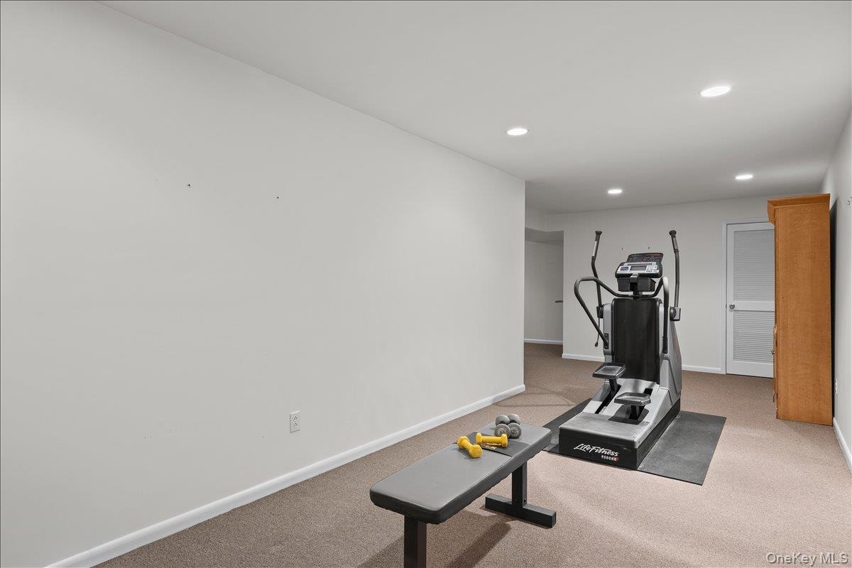 Lower Level Gym Area