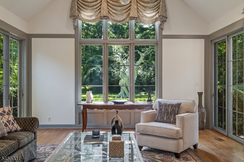 Expansive Windows