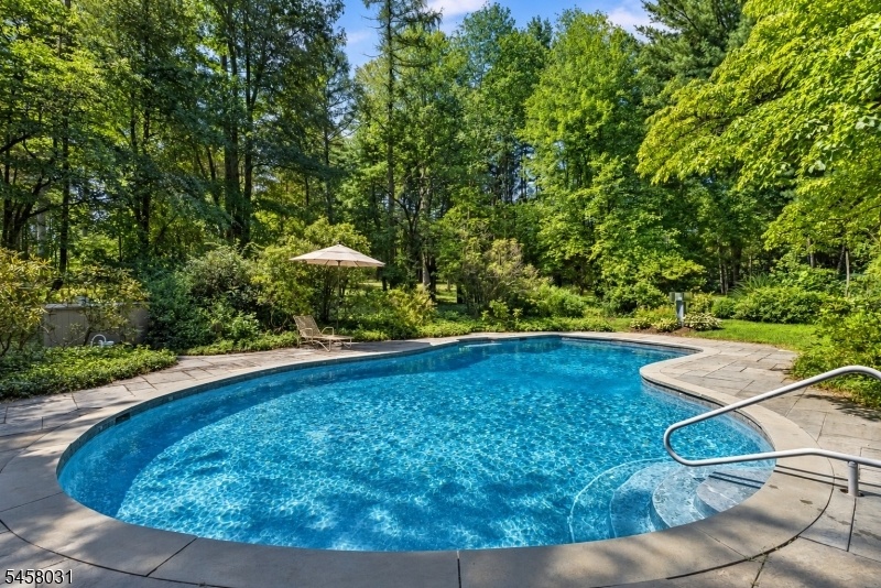 Backyard Oasis