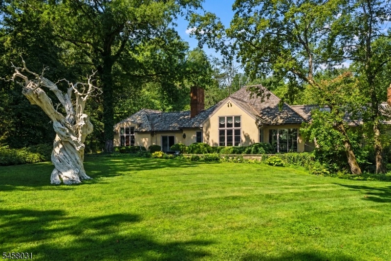 Lush Grounds