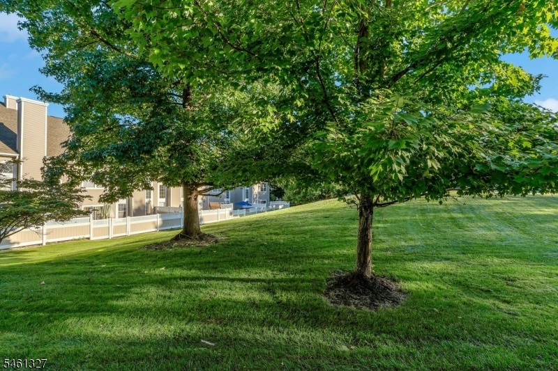 Backyard Green Space
