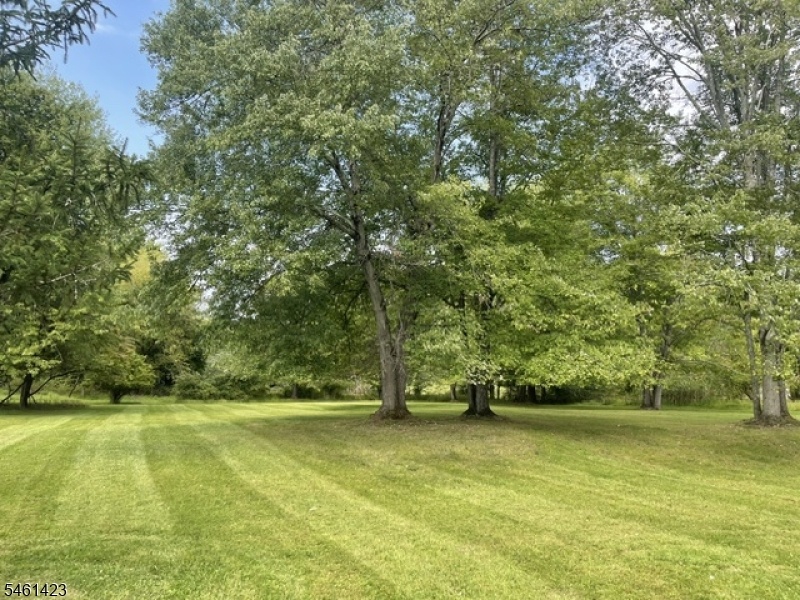 Park-Like Backyard