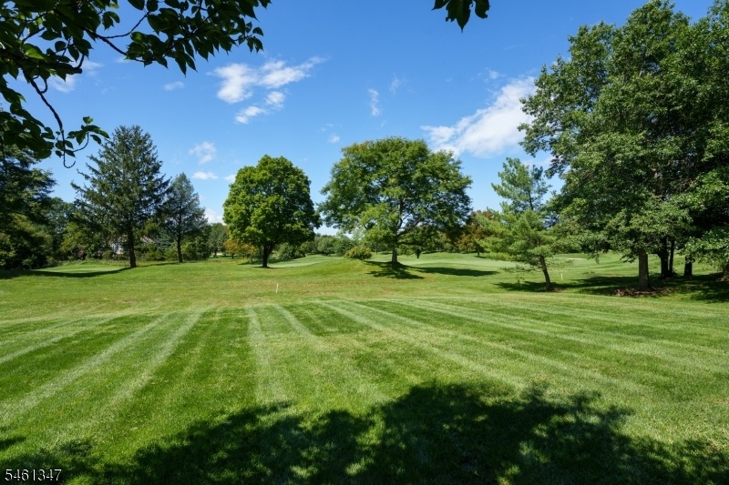 View from Deck