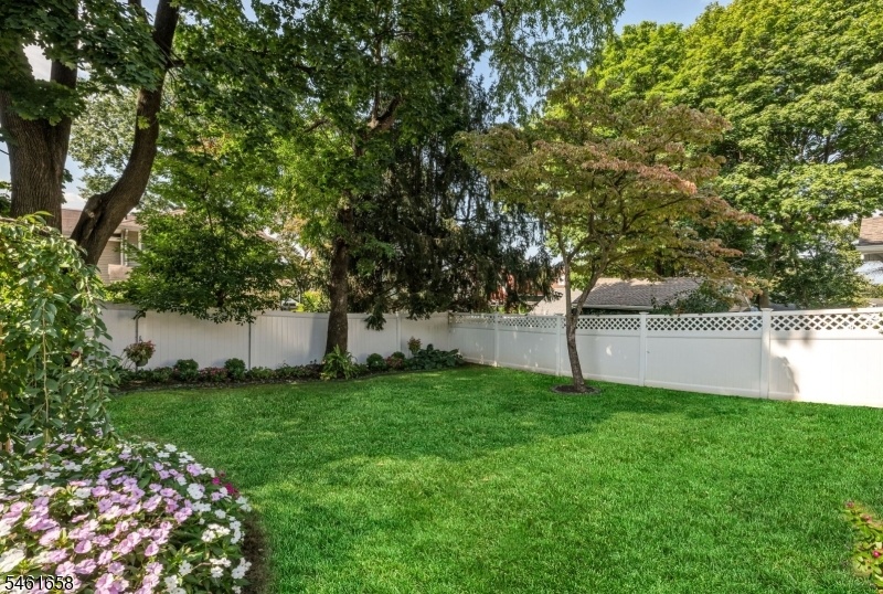 Fenced in Yard