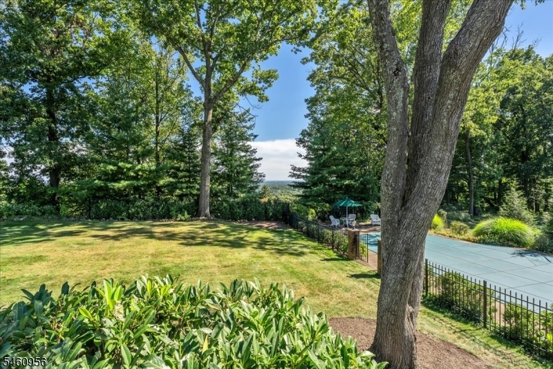 Backyard and pool