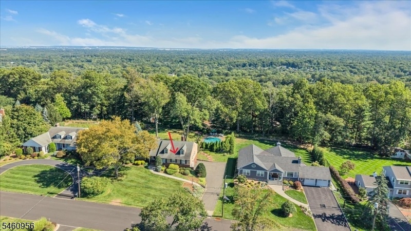 Drone view-property & valley