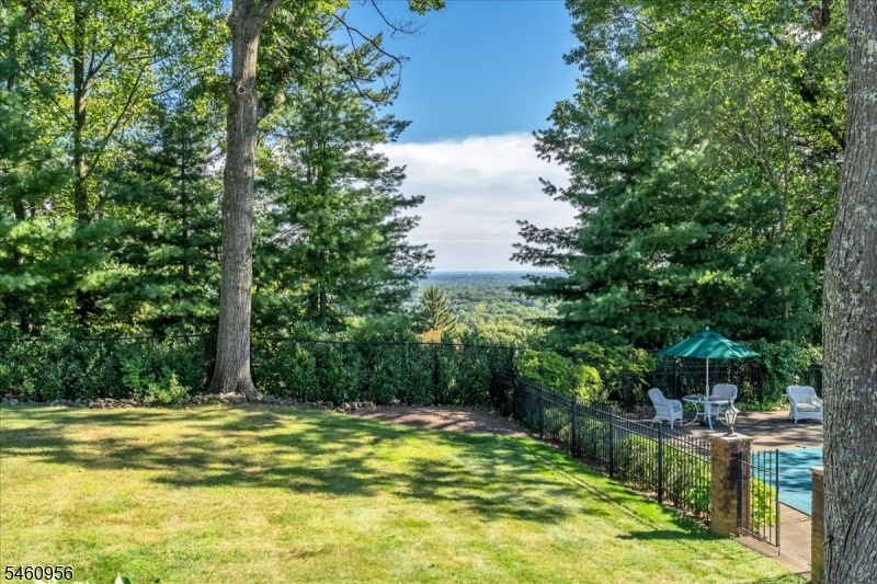 View from Deck