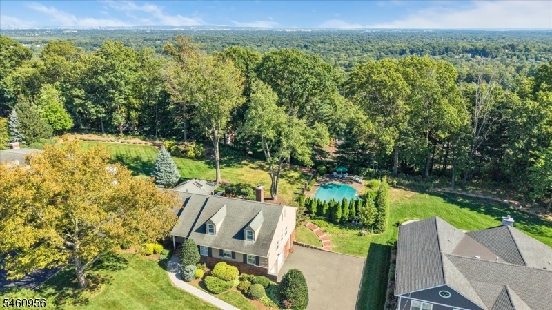 Drone view-property & valley