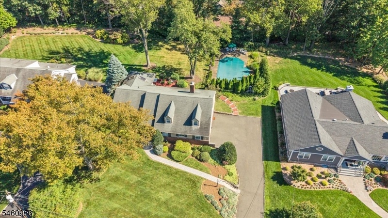 Drone view of property