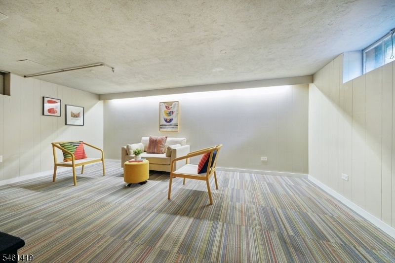 Lower Level Flex Space