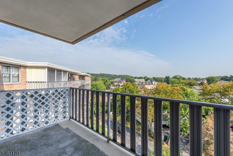 Primary Bedroom Terrace