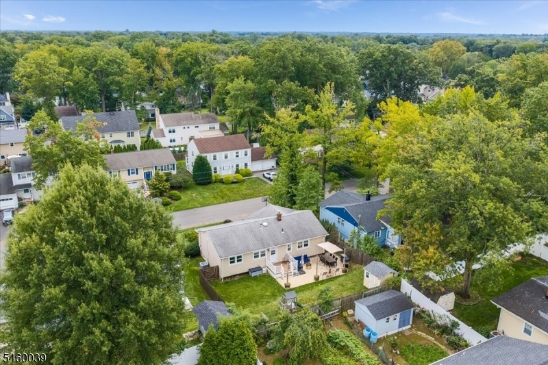 Aerial Views