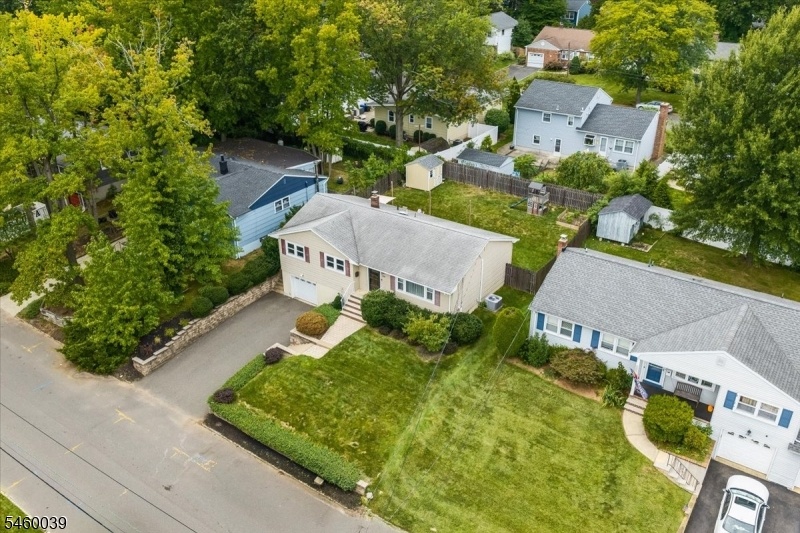 Aerial Views