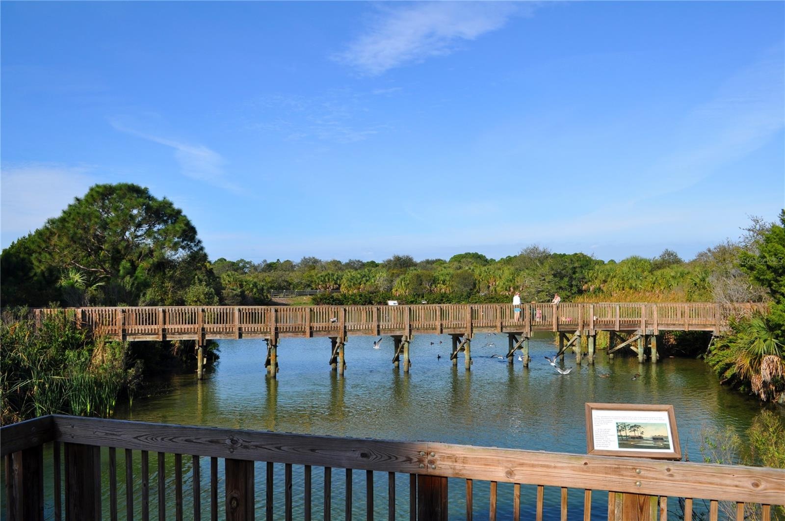 Wall Springs Park in Palm Harbor