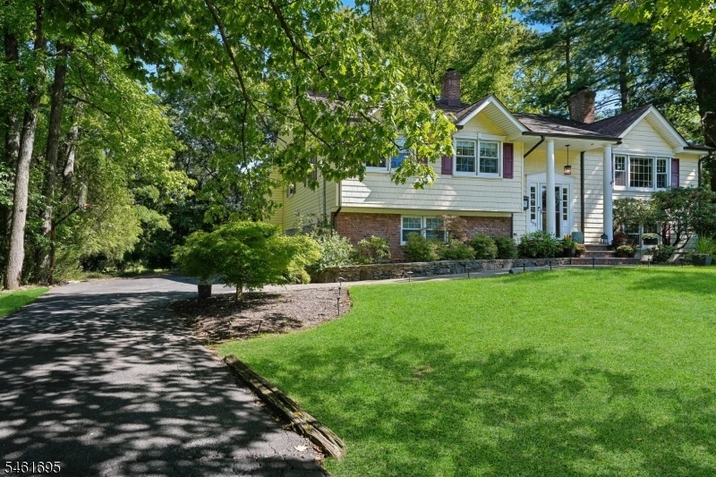 Driveway.