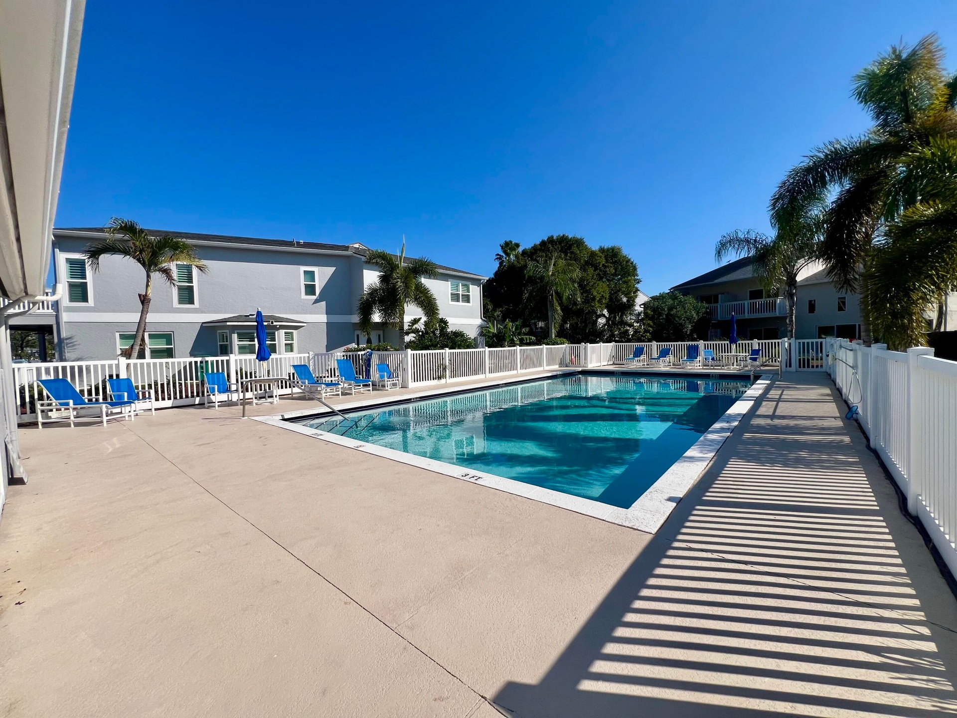 Community swimming pool with surrounding fencing, concrete pool deck, and palm trees