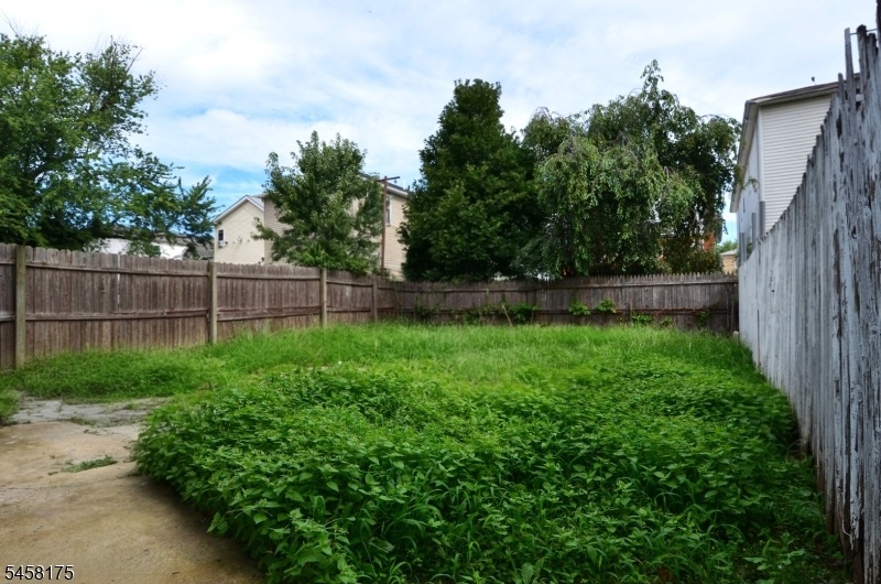 Backyard Actual