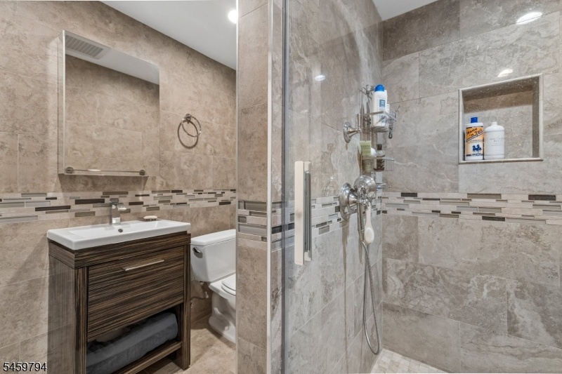 lower level full Bathroom