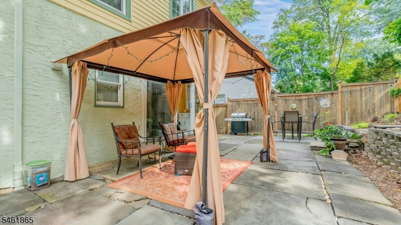 Rear Patio
