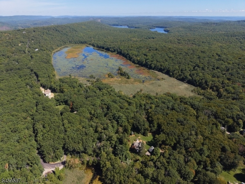 Backed to Timber Pond
