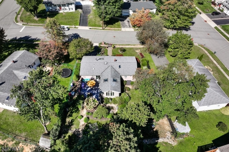Aerial Rear