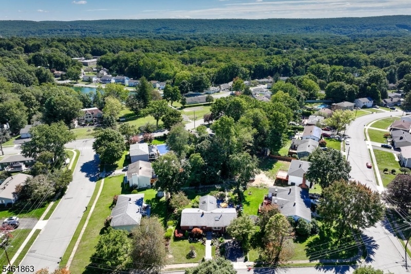 Aerial Neighborhood