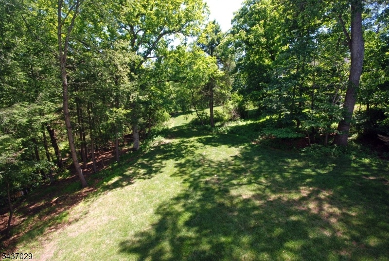 Yard For Entertaining