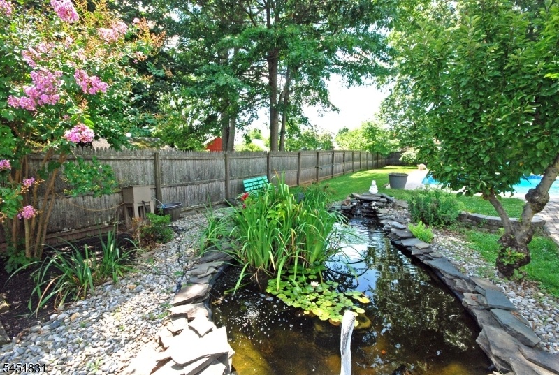 Backyard Pond
