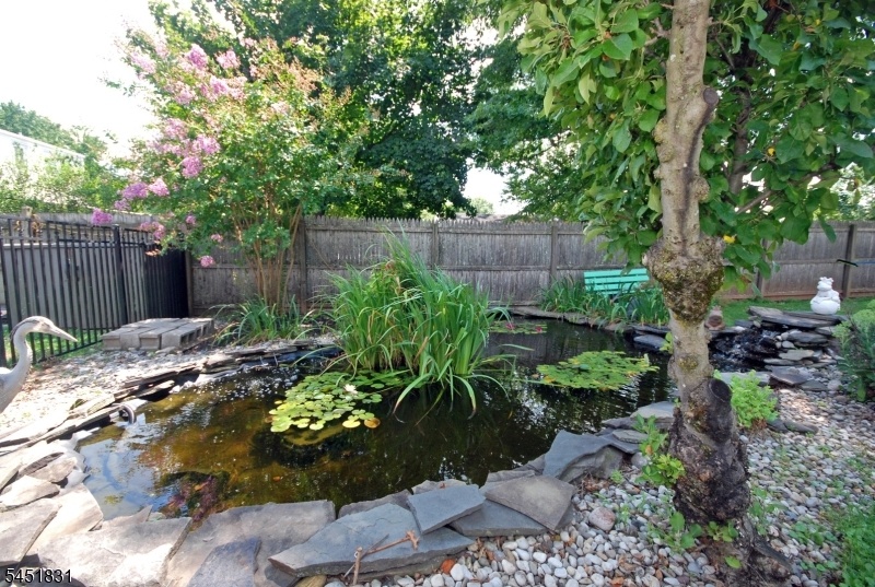 Backyard Pond