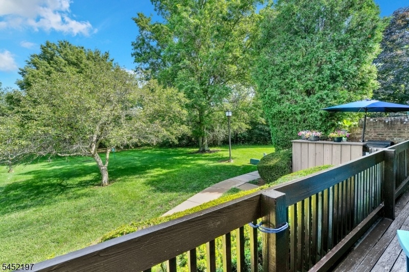 Nature View from Deck