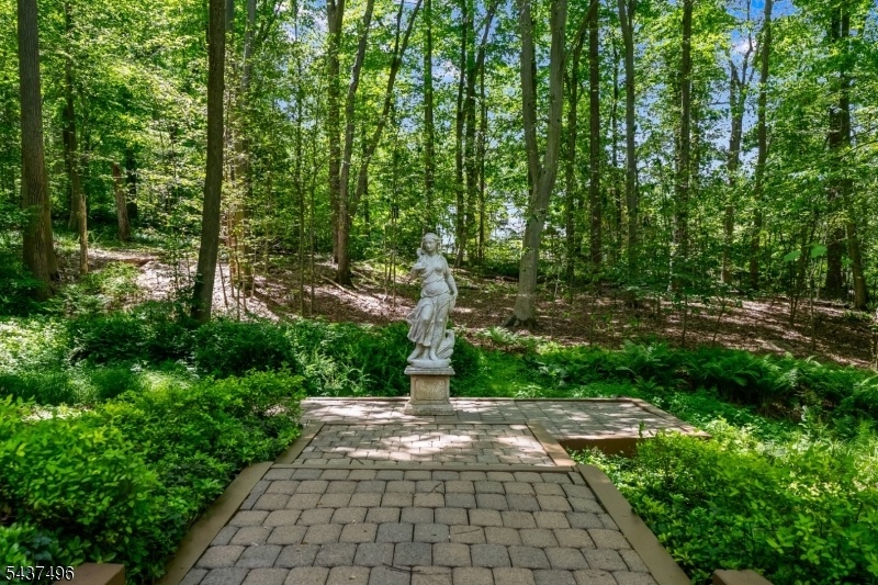 Patio Overlooks Stream