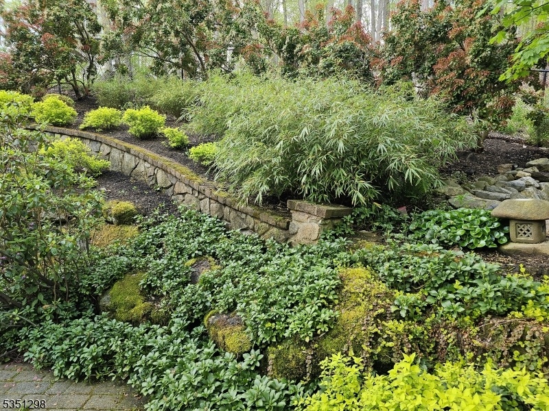 Beautiful Landscaping