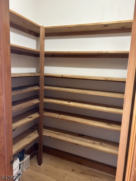 Big Closet in Hall