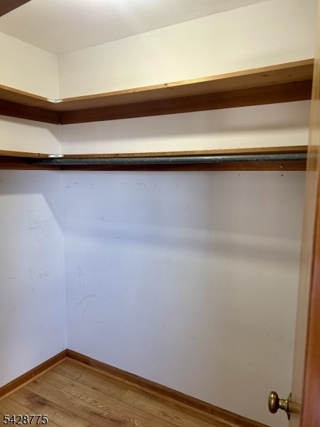 Big Closet in Hall