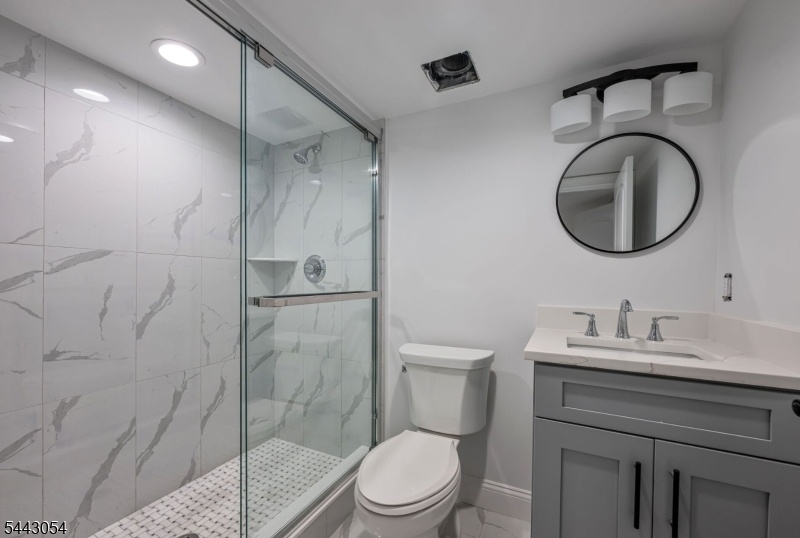 Lower level Bathroom