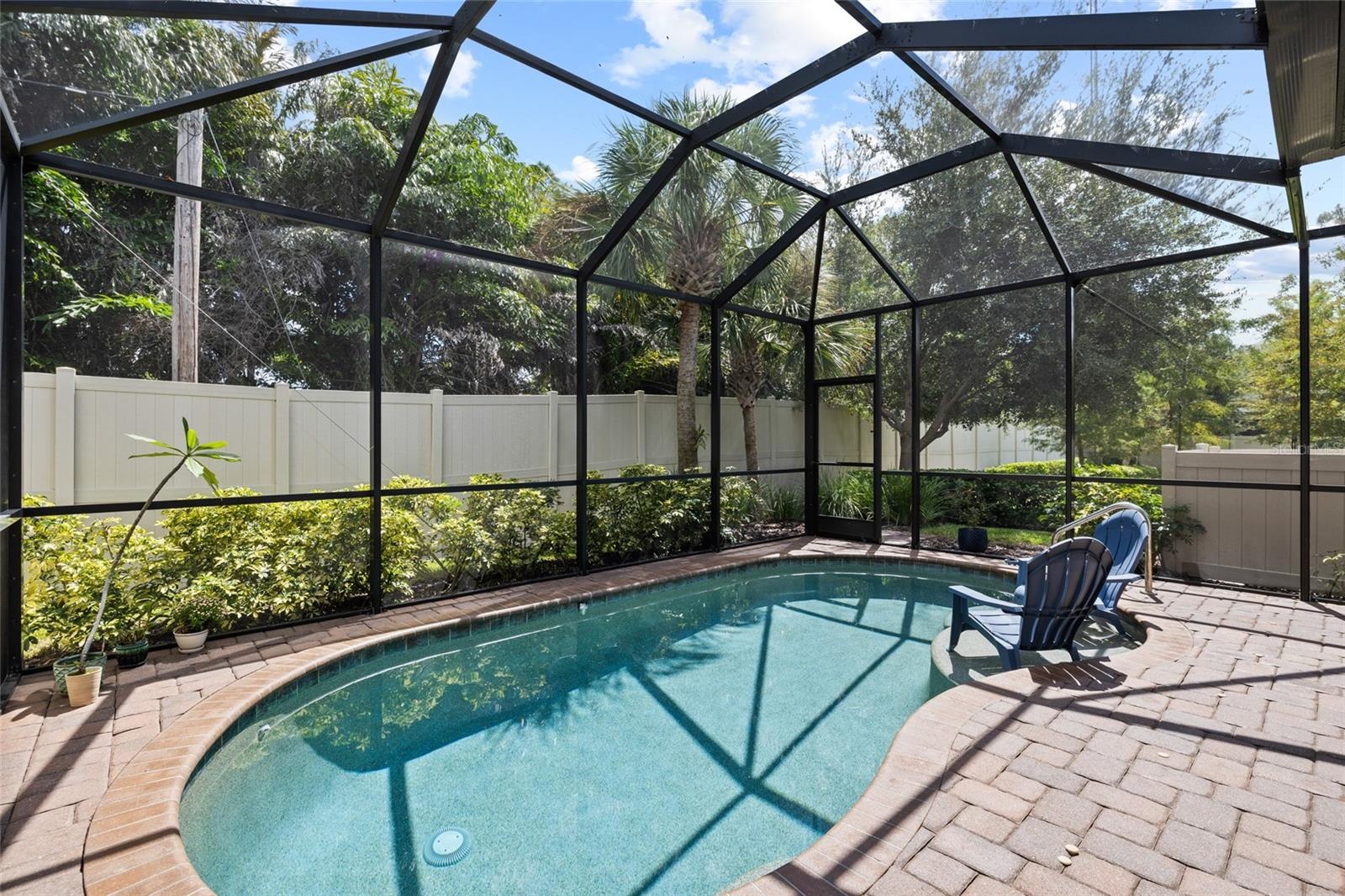Pool area looking toward rear of house and open space.