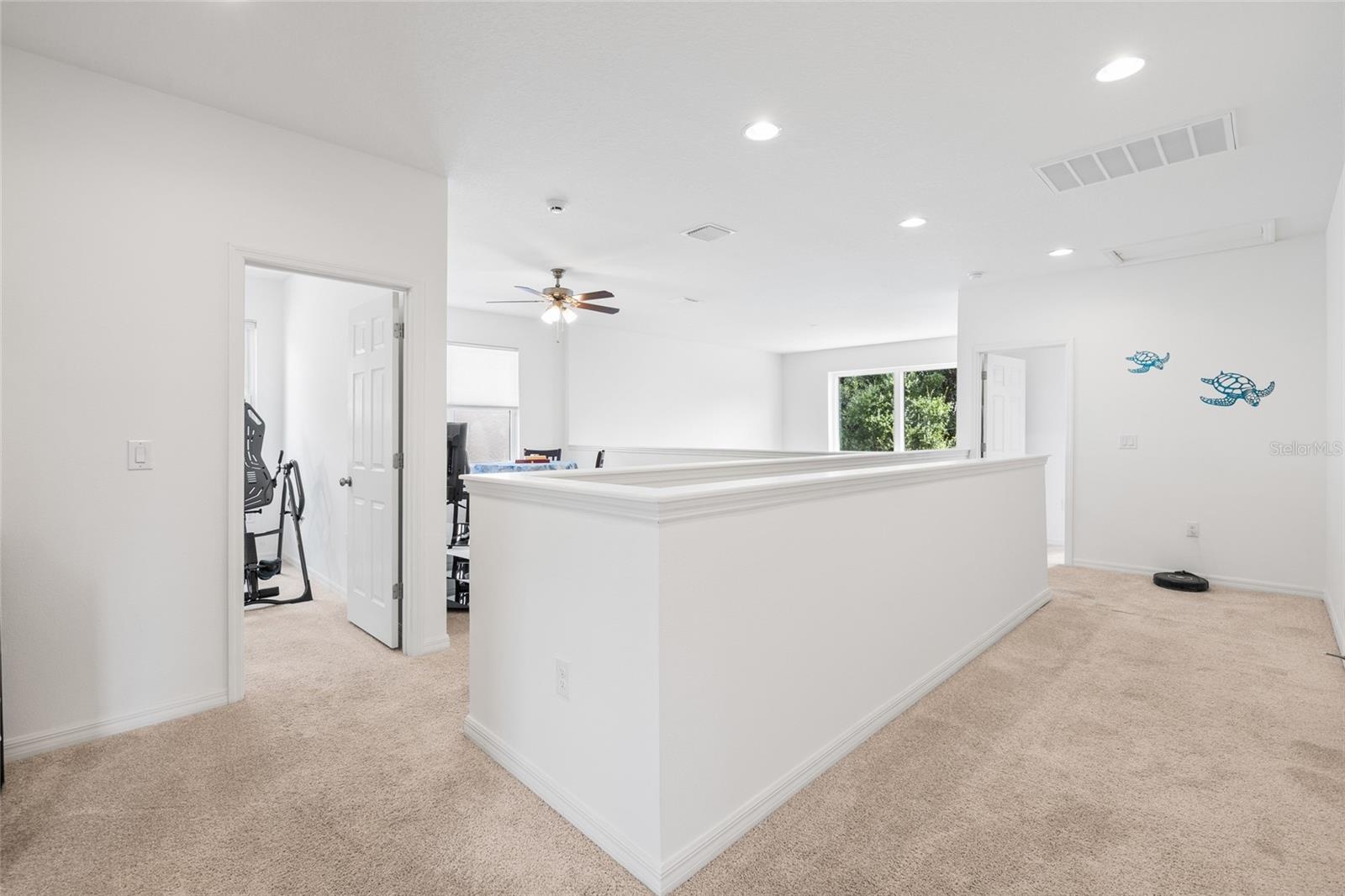 Upstairs hallway, loft area and open below.