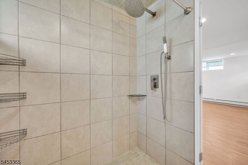Basement Bathroom