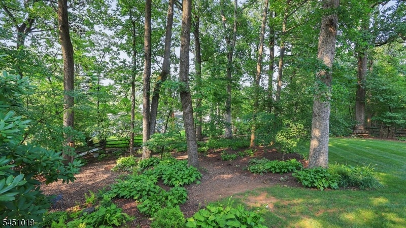 Backyard Gardens