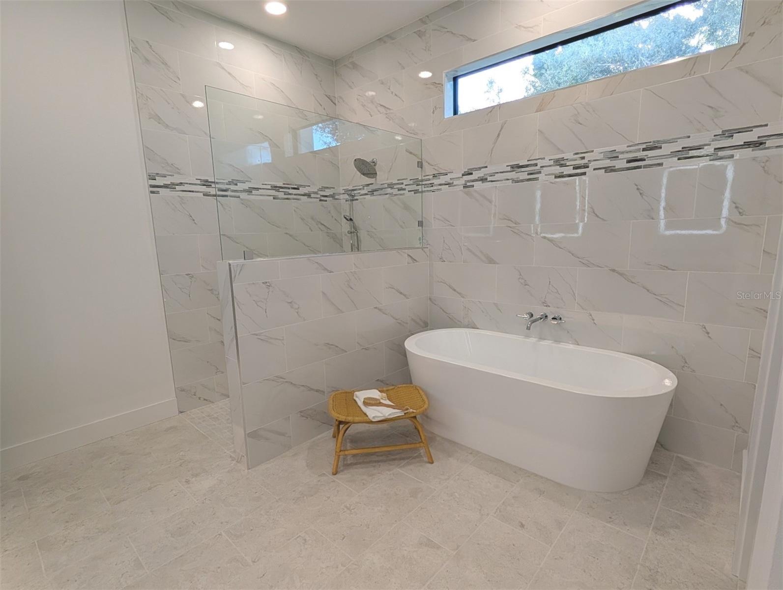 Walk in shower and soaking tub