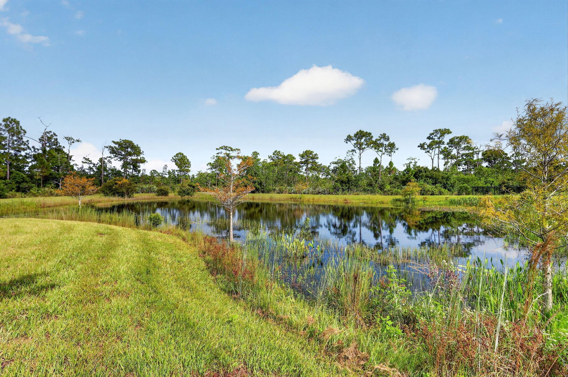 Lovely water behind and can be viewed from backyard with wildlife.