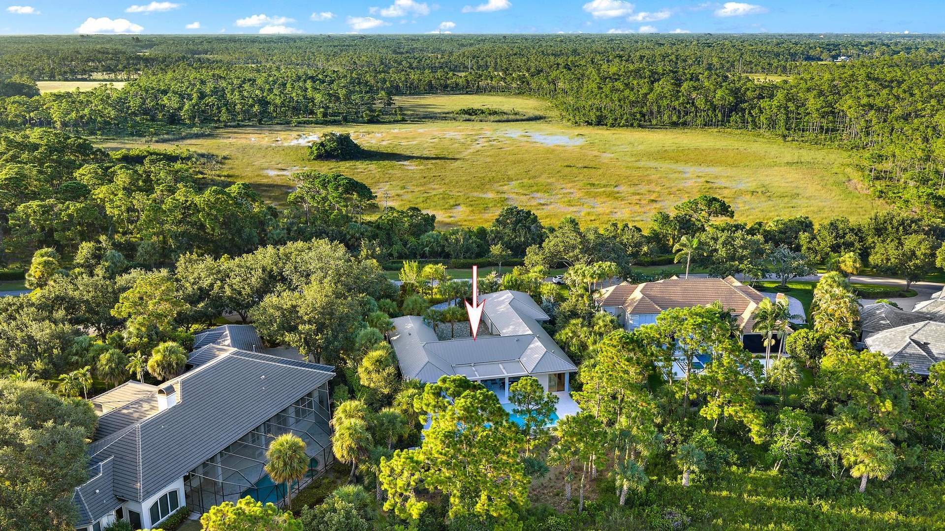 Aerial view showcasing a striking contemporary residence nestled on expansive grounds surrounded by mature landscaping and native vegetation