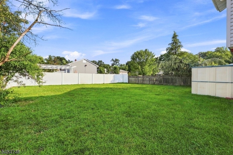 Lovely backyard