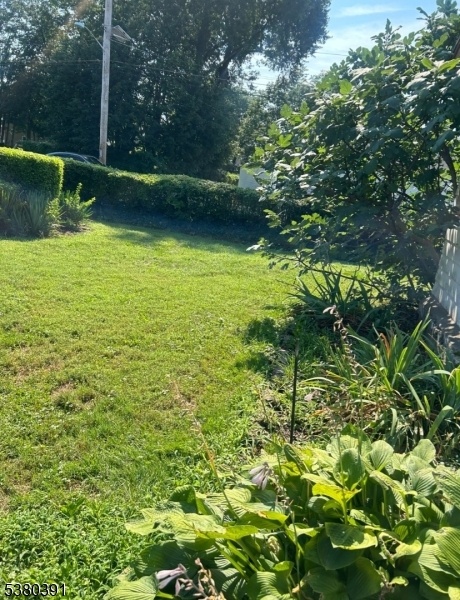 Lot view