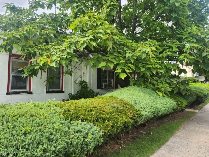 Front house view