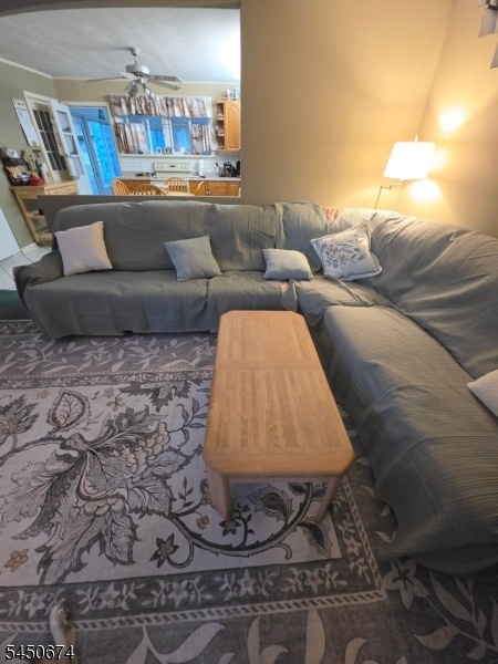 LR sofa Rug