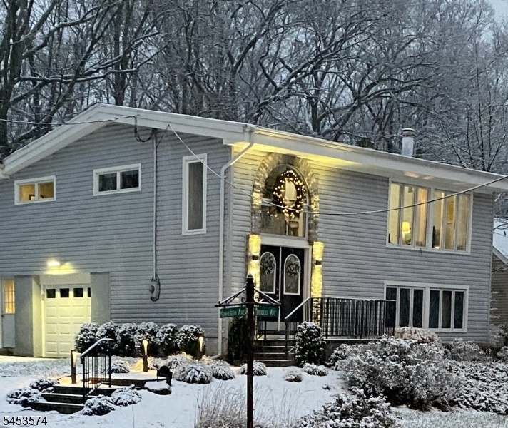 Winter view